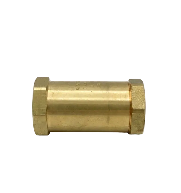 Valve, Check, 1000 psi
