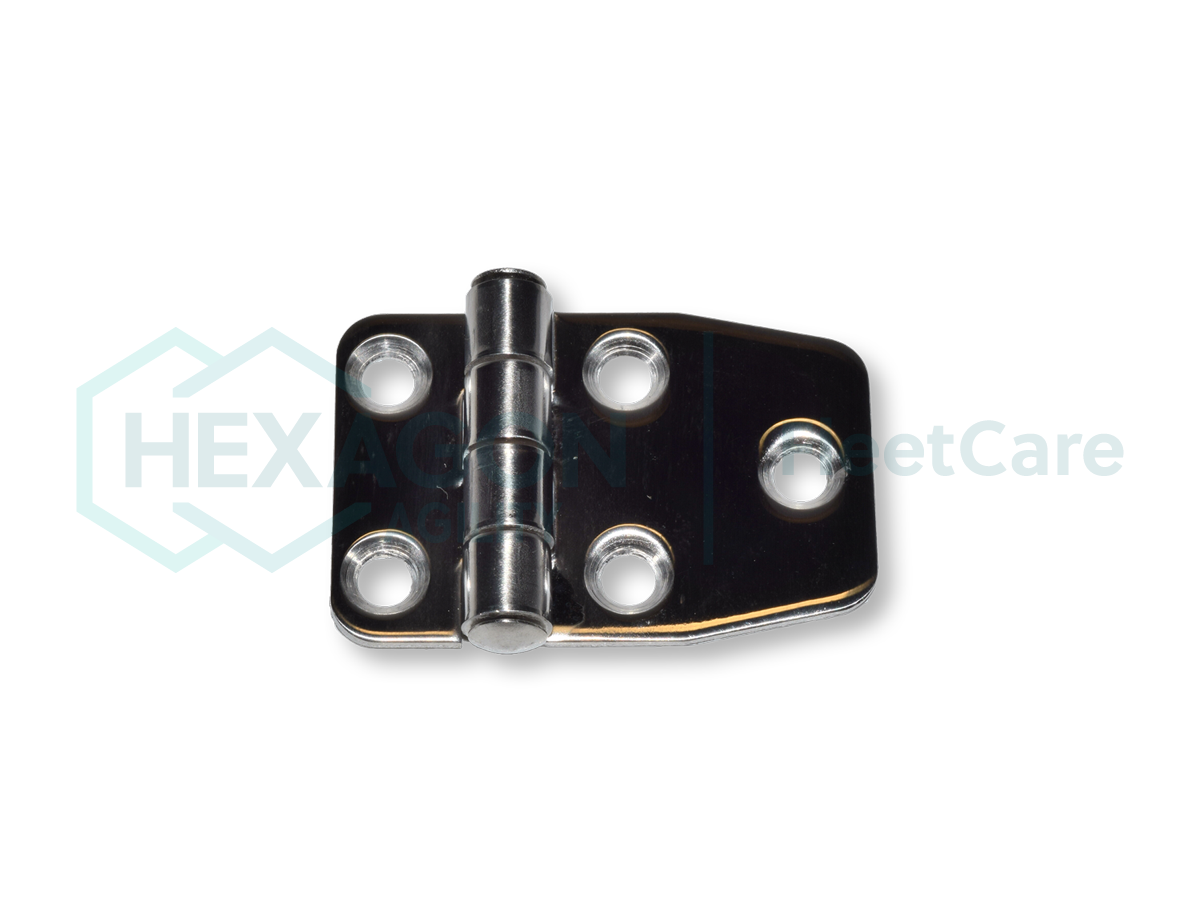 HINGE 1