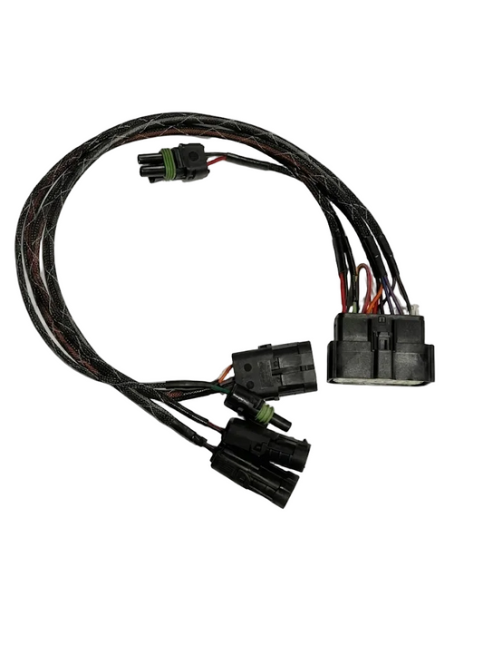 Wire Harness, 1 Kill Cap