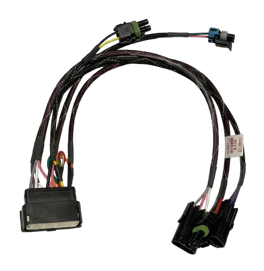 Wire Harness, 2 Reed Switches